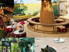 -正佳雨林生态植物园