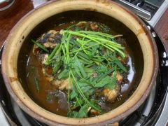 -华仔土鸡店(南洲分店)