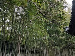 -秋霞圃