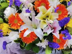 -花鸟鱼虫鲜花绿植市场(玉泉路店)