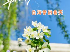 -海棠花溪(元大都城垣遗址公园)