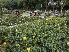 -人民公园(罗湖区)