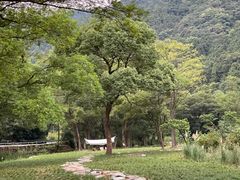 -北仑森林植物园