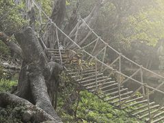 -深圳野生动物园