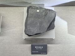 -安徽省地质博物馆