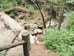 -祁门牯牛降观音堂风景区