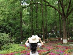 -忠山公园
