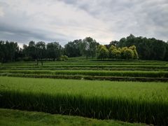 -北坞公园