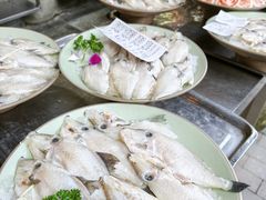 -巴倒烫陆派火锅山庄(南山总店)