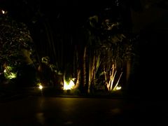 android_upload_pic-厦门日月谷温泉渡假村