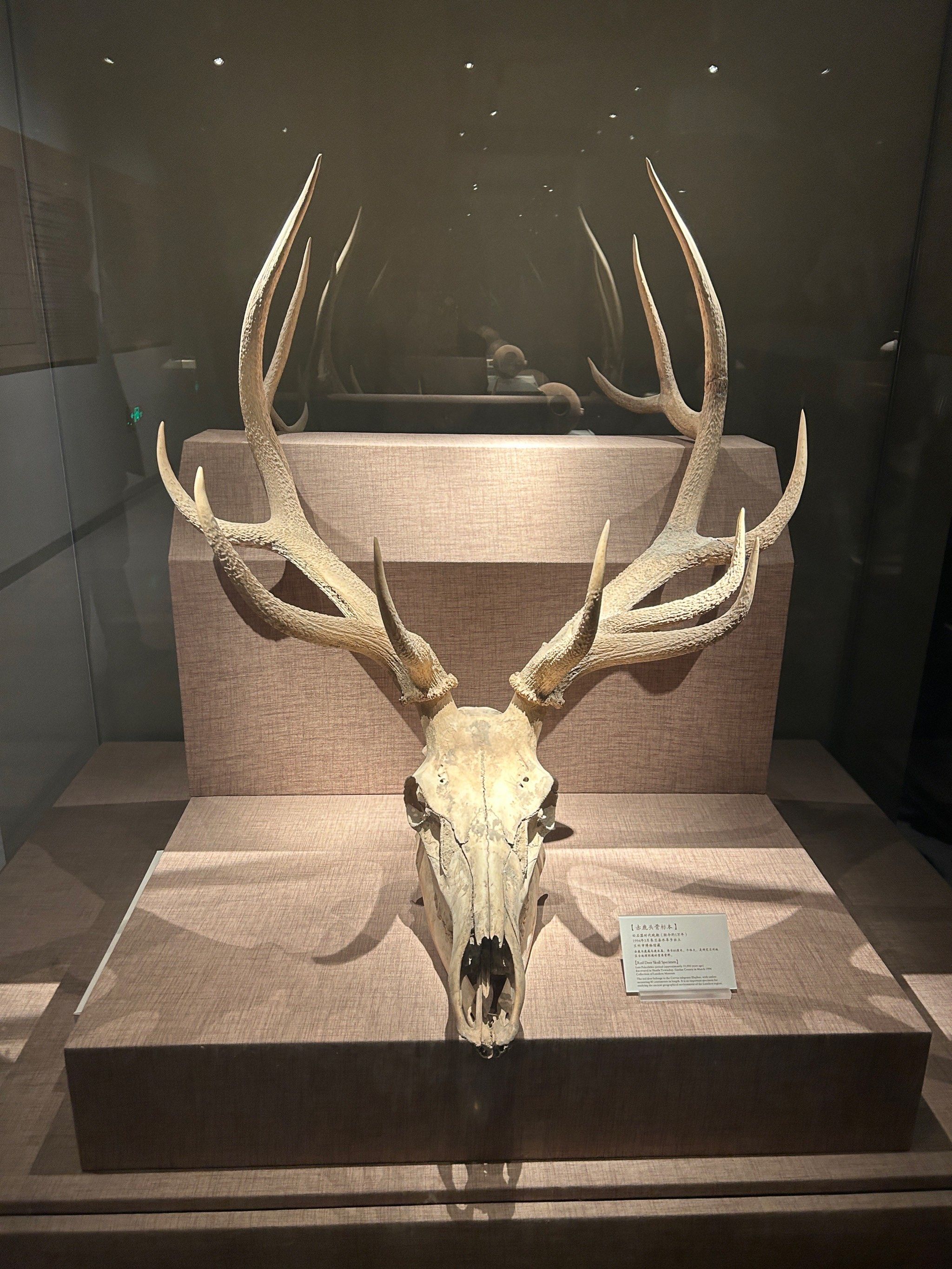 记录历史的痕迹