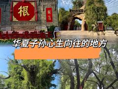 -大槐树寻根祭祖园