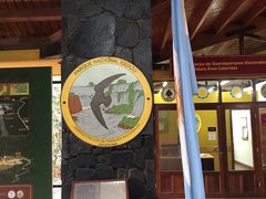 -伊瓜苏国家公园