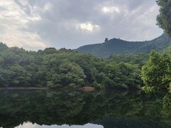 -杭州半山国家森林公园