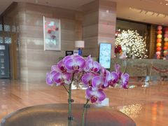 -北京园博大酒店