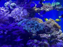 -上海海昌海洋公园