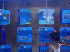 -大连圣亚海洋世界