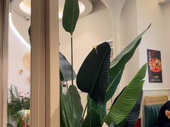 -mango tree芒果树泰国餐厅(青岛万象城店)