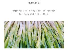 -沈老头包子(八十五店)