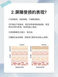 点击看大图 -玛莲朵·海菲秀冰珀科