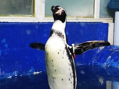 -太平洋海底世界