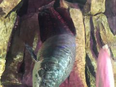 -石林冰雪海洋世界