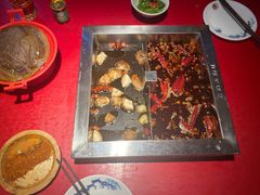 -二荆条·蜀鲜汇城市森林火锅