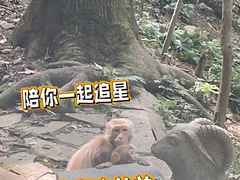 -黔灵山公园