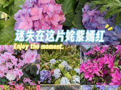 -沈阳植物园