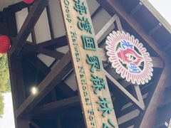 -上海海湾国家森林公园