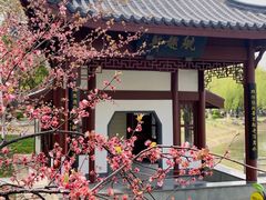 -堤角公园