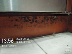 -重庆轻喜到家家政保洁