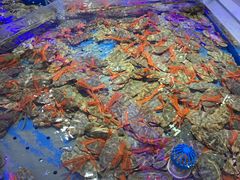 -澜悦港海鲜体验主题餐厅