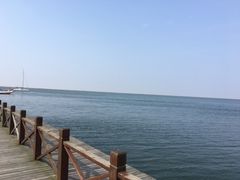 -碧海金沙
