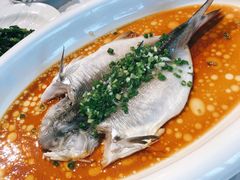 清蒸刁白鱼-禧宴Joyous Restaurant(禧园店)