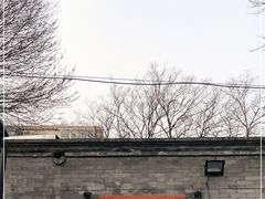 -玫瑰红烤羊排(北新桥三条店)