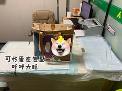 -半岛宠物医院24小时(科华中路店)