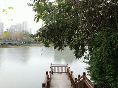 -金山公园