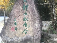 -大鄣山卧龙谷景区