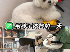 -瑞鹏宠物医院·骨科·猫科·内科(第一中心)