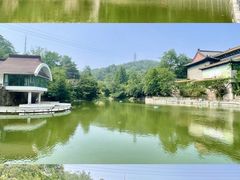-湛山寺