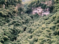 -川西竹海景区
