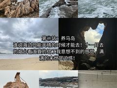 -东辰望海鱼码头·海鲜餐厅