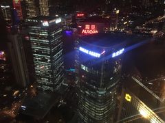 -金轩中餐厅 Jin Xuan(浦东丽思卡尔顿酒店)