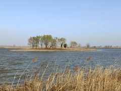 -盐城丹顶鹤湿地生态旅游区