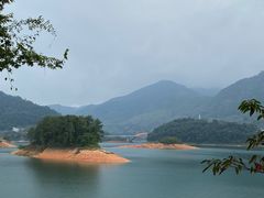 -广州市流溪河国家森林公园