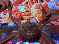 -松鱼亭·和牛烧肉(协鑫广场店)