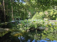 -燕晗山郊野公园