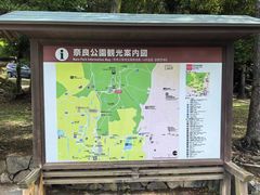-奈良公园