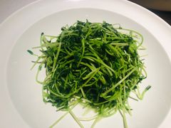 -许家菜(DT51店)